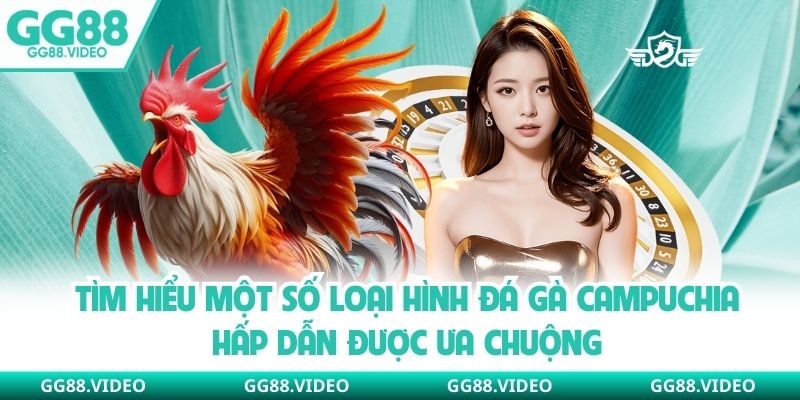 Tìm hiểu một số loại hình đá gà Campuchia hấp dẫn được ưa chuộng